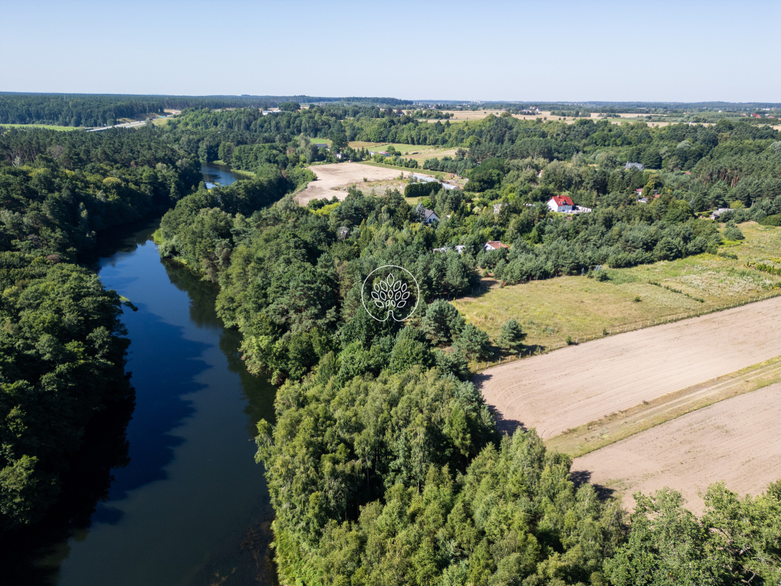 Działka Sprzedaż Tryszczyn
