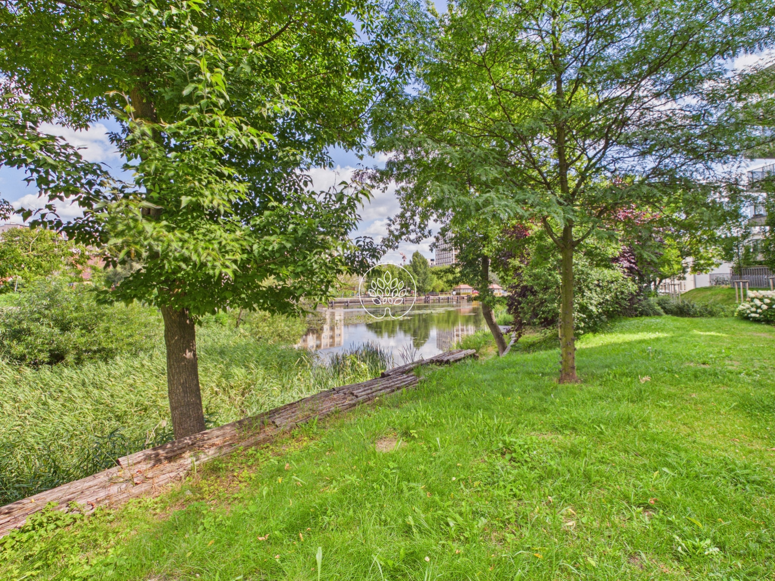 Mieszkanie Sprzedaż Bydgoszcz Centrum Adama Naruszewicza 11