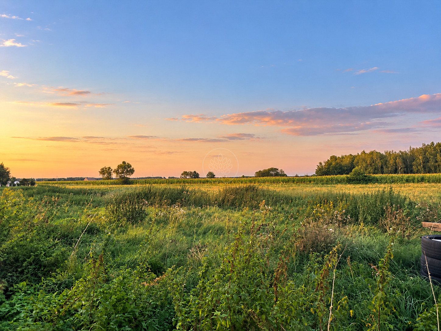 Działka Sprzedaż Kruszyn Krajeński 3