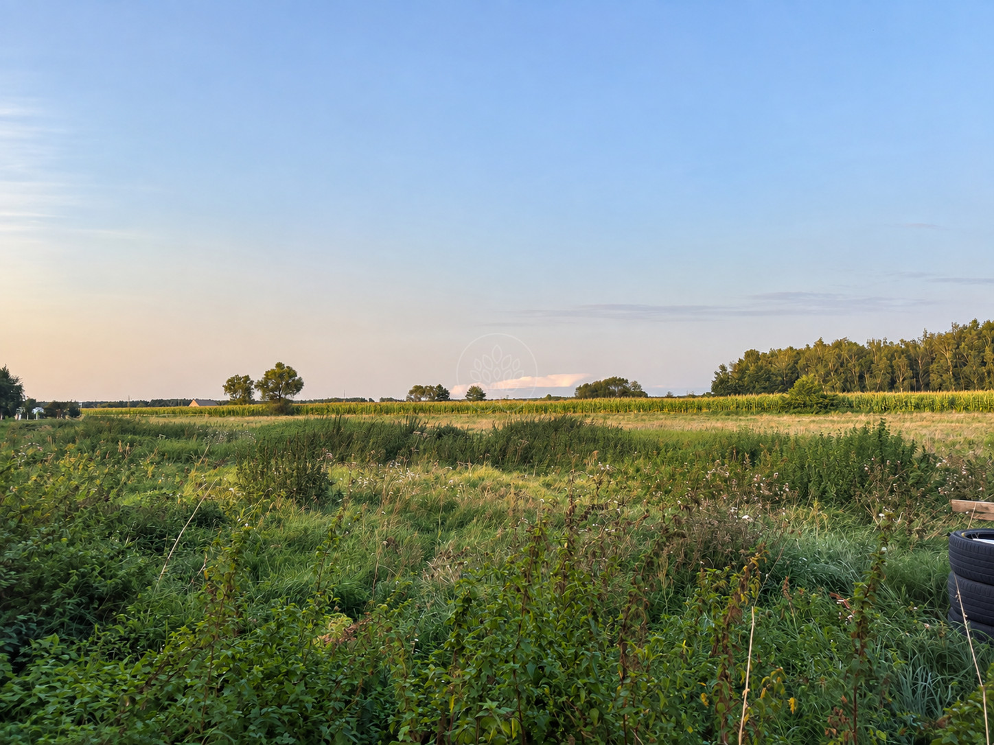 Działka Sprzedaż Kruszyn Krajeński 5