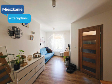 Mieszkanie Wynajem Bydgoszcz Śródmieście Tadeusza Kościuszki