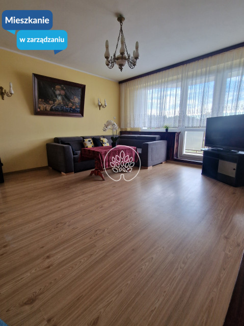 Mieszkanie Wynajem Bydgoszcz Fordon Osiedlowa 1