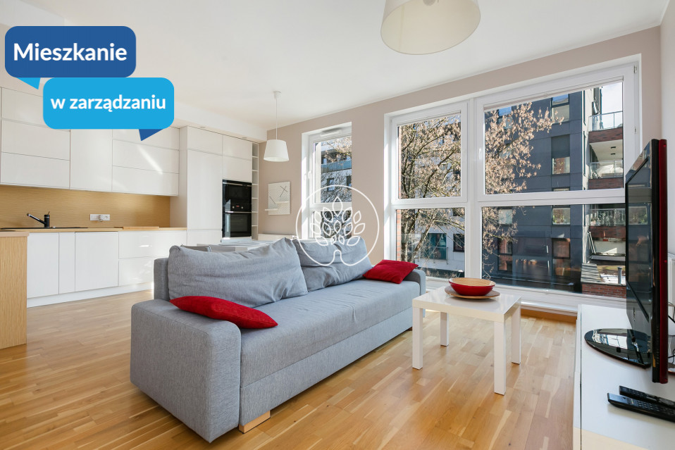 Mieszkanie Wynajem Bydgoszcz Bielawy Jana Karola Chodkiewicza 1
