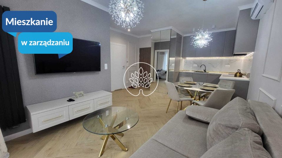 Mieszkanie Wynajem Bydgoszcz Centrum Królowej Jadwigi 1