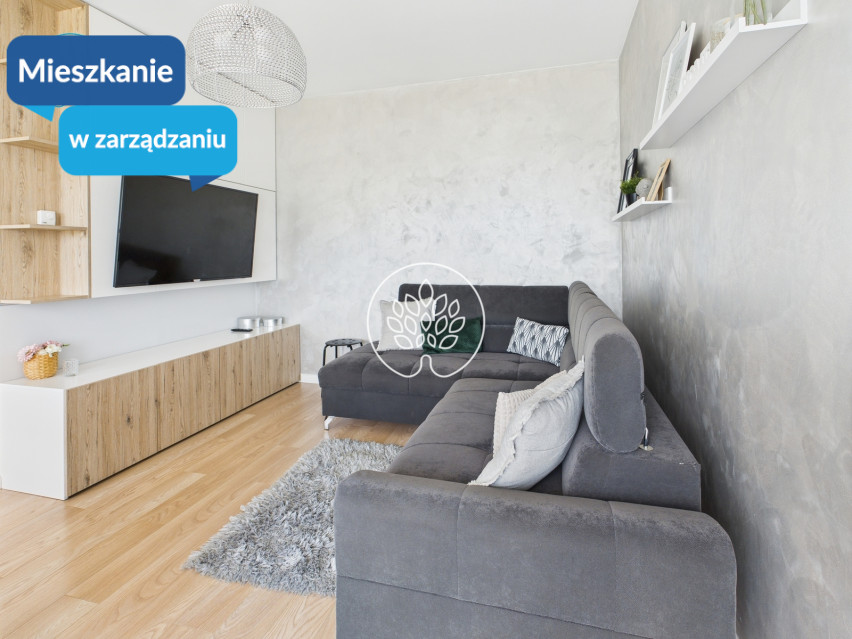 Mieszkanie Wynajem Bydgoszcz Osiedle Leśne Leśna 1