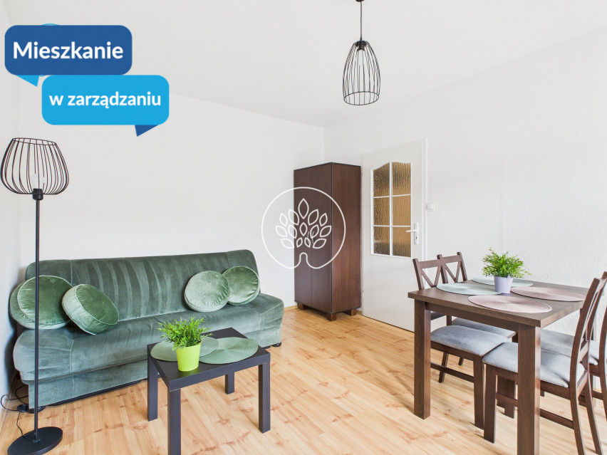 Mieszkanie Wynajem Bydgoszcz Bartodzieje Marii Curie Skłodowskiej 1