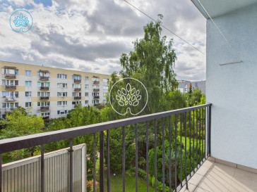 Mieszkanie Wynajem Bydgoszcz Bartodzieje Marii Curie Skłodowskiej