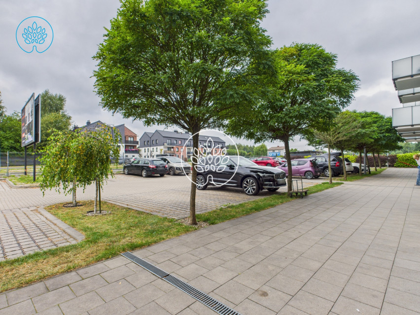 Mieszkanie Sprzedaż Niemcz Olszynki 12