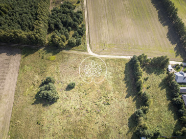 Działka Sprzedaż Branica