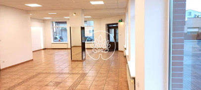 Lokal Sprzedaż Aleksandrów Kujawski