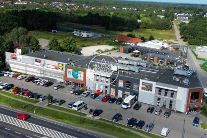 Lokal Wynajem Osielsko