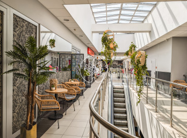 Lokal Wynajem Osielsko