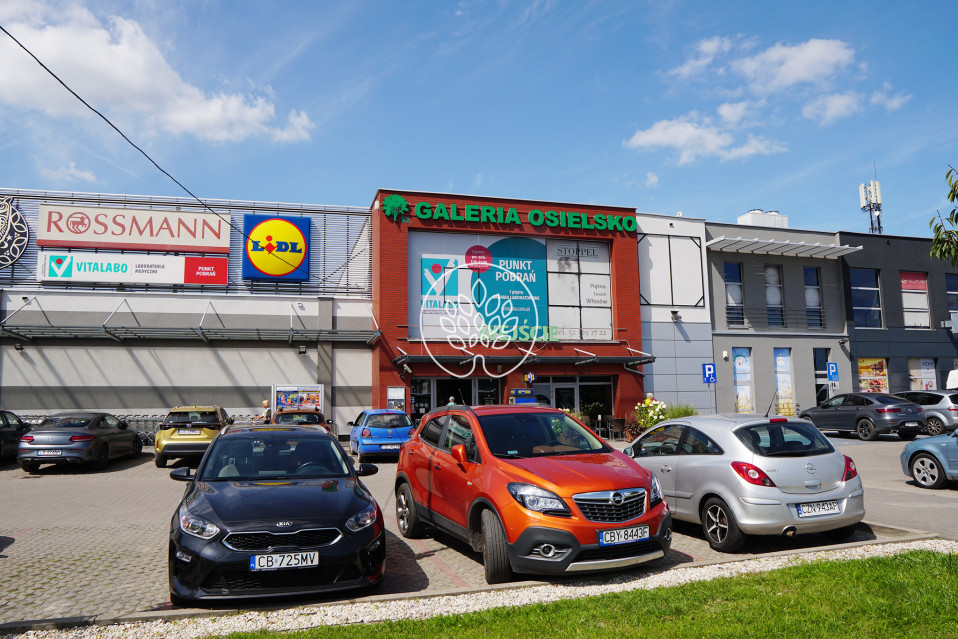 Lokal Wynajem Osielsko 11