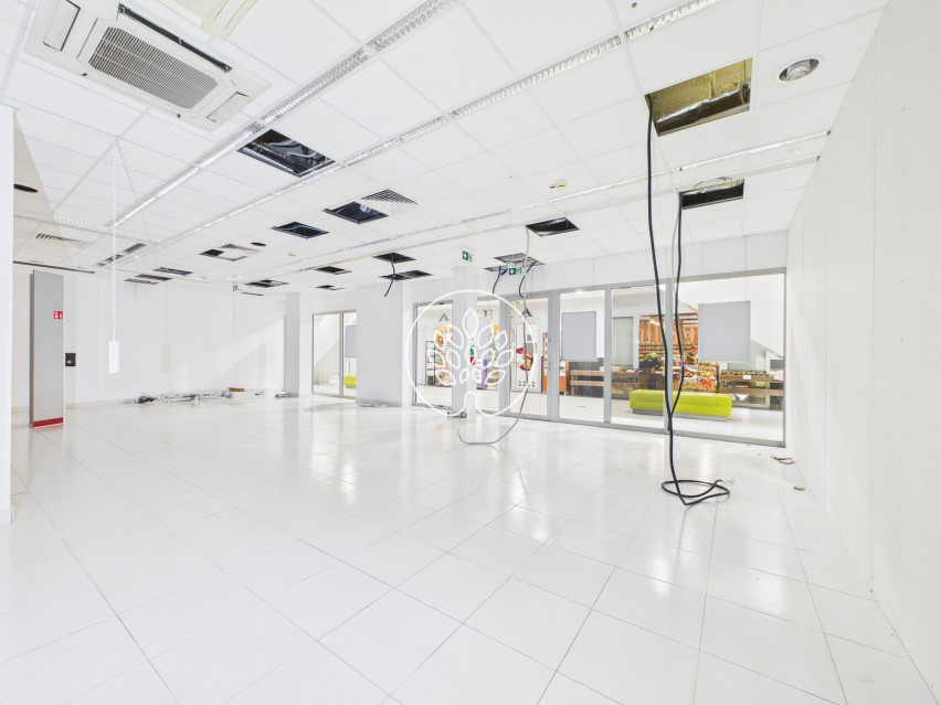 Lokal Wynajem Osielsko 4