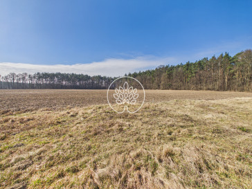 Dom Sprzedaż Żołędowo