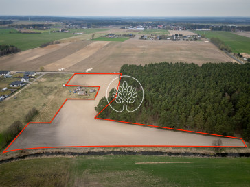 Działka Sprzedaż Zazdrość