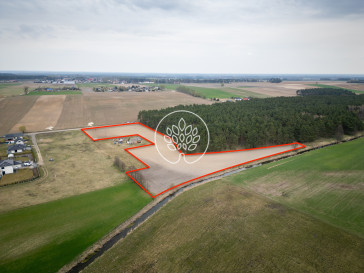 Działka Sprzedaż Zazdrość