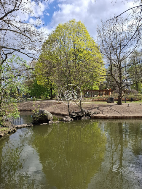 Dom Sprzedaż Warszawa Bielany 9