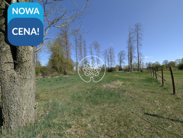 Działka Sprzedaż Otorowo