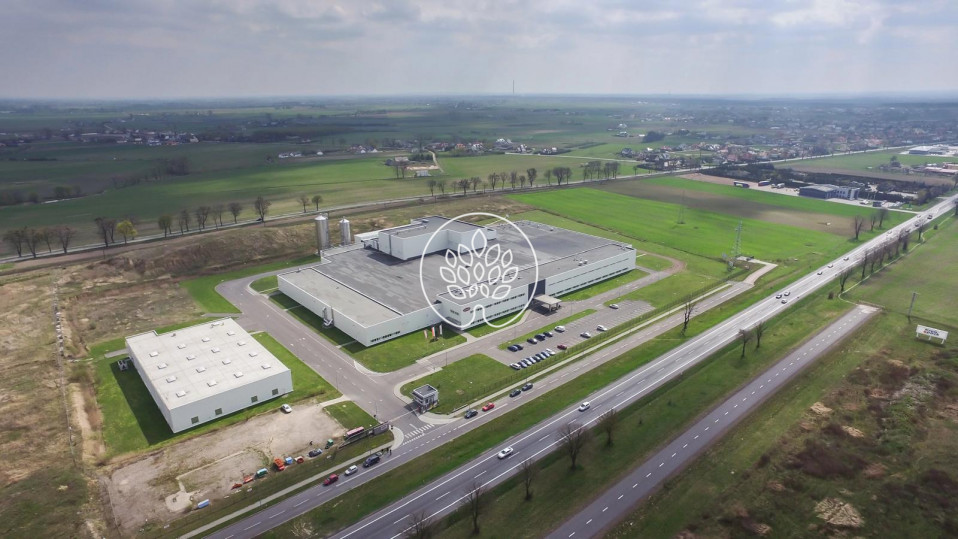Działka Sprzedaż Ostaszewo 2
