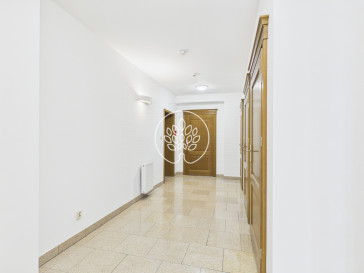 Lokal Wynajem Bydgoszcz Centrum