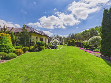 Dom Sprzedaż Bydgoszcz