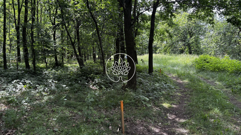 Działka Sprzedaż Wola 16