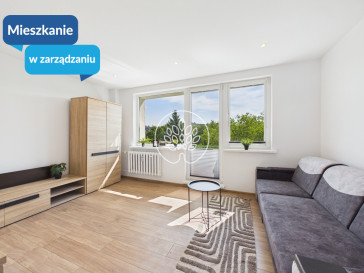 Mieszkanie Wynajem Bydgoszcz Wyżyny Modrakowa