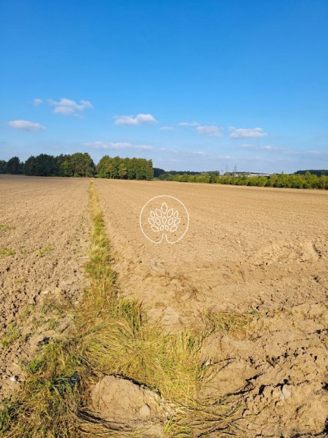 Działka Sprzedaż Serock 2