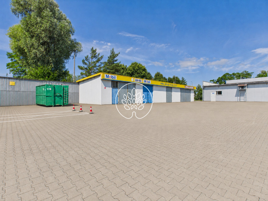 Obiekt Sprzedaż Wąbrzeźno 9