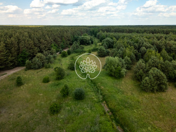 Działka Sprzedaż Tomczyn