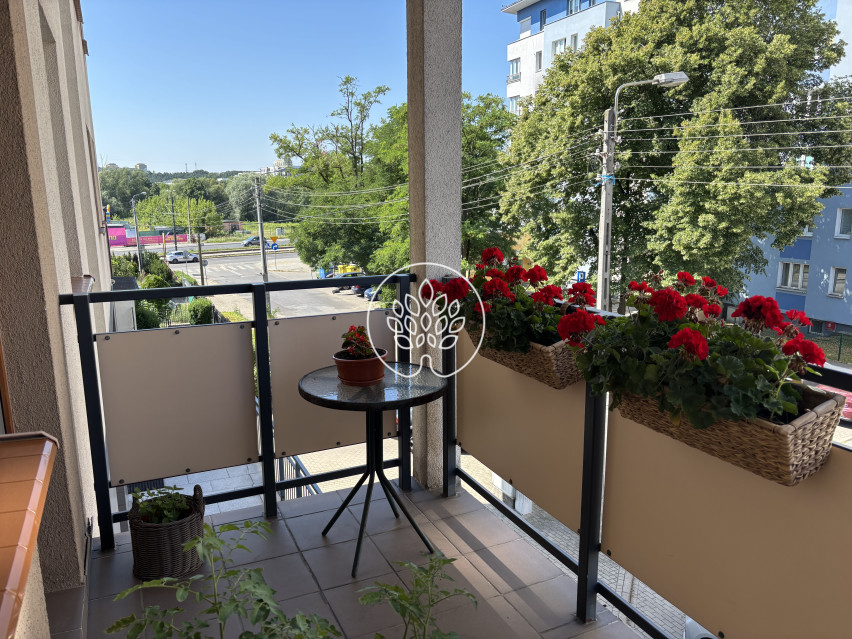 Mieszkanie Wynajem Bydgoszcz Bartodzieje Kijowska 13