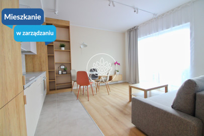 Mieszkanie Sprzedaż Bydgoszcz Wilczak Ułańska