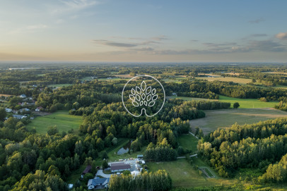 Działka Sprzedaż Skuły