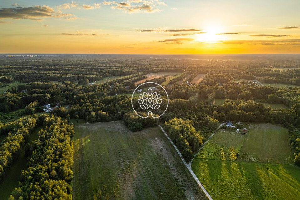 Działka Sprzedaż Skuły 15