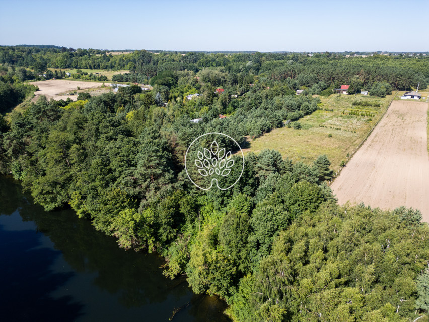Działka Sprzedaż Tryszczyn 3