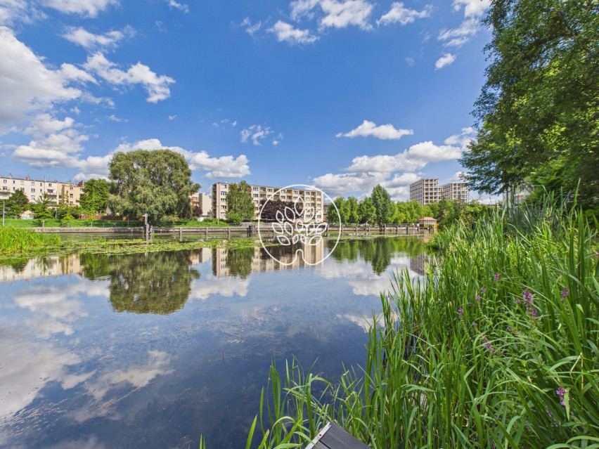 Mieszkanie Sprzedaż Bydgoszcz Centrum Adama Naruszewicza 12