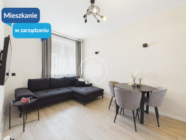 Mieszkanie Wynajem Bydgoszcz Kapuściska