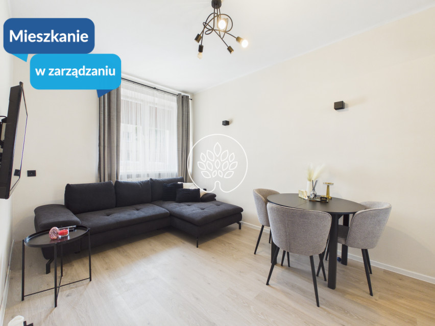 Mieszkanie Wynajem Bydgoszcz Kapuściska 1