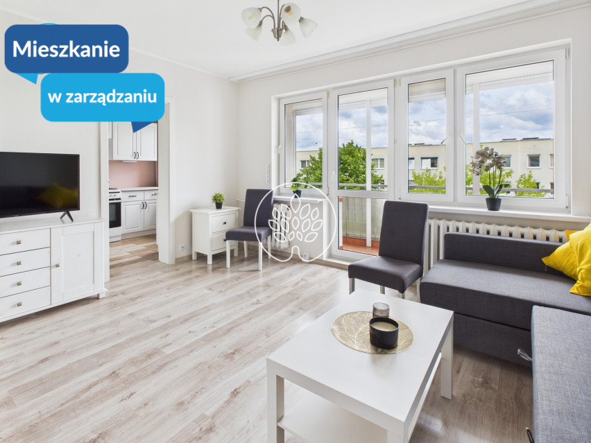 Mieszkanie Wynajem Bydgoszcz Wyżyny Władysława Bełzy 1