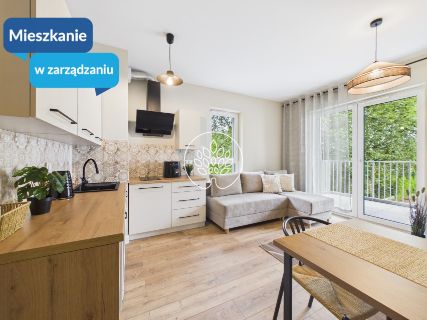 Mieszkanie Wynajem Osielsko Dzikiej Gęsi 1