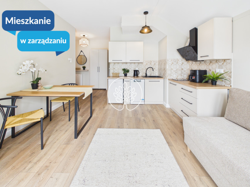 Mieszkanie Wynajem Osielsko Dzikiej Gęsi 1