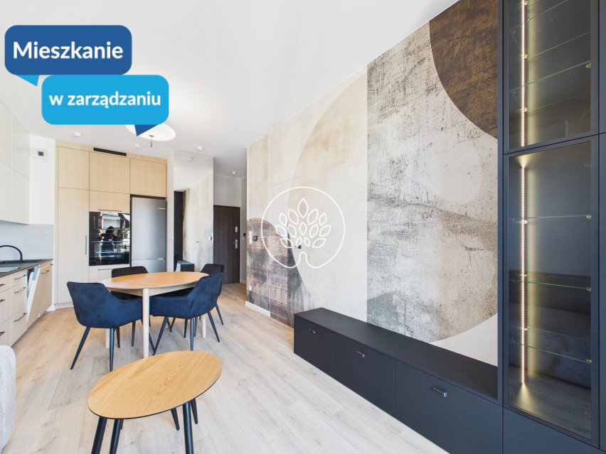 Mieszkanie Wynajem Bydgoszcz Śródmieście 1