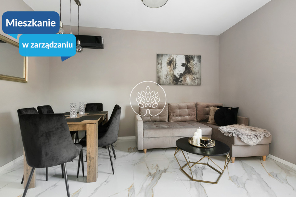 Mieszkanie Wynajem Bydgoszcz Świętej Trójcy 1