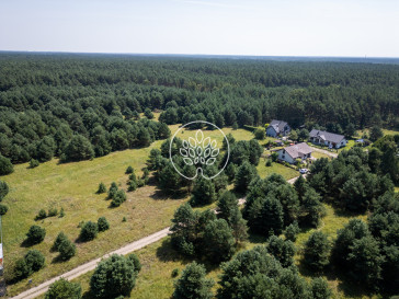 Działka Sprzedaż Drzewce