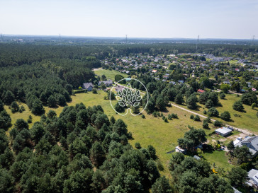 Działka Sprzedaż Drzewce