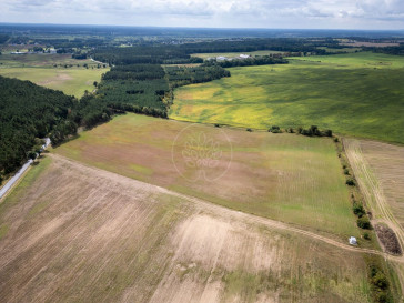 Działka Sprzedaż Dąbrówka Nowa