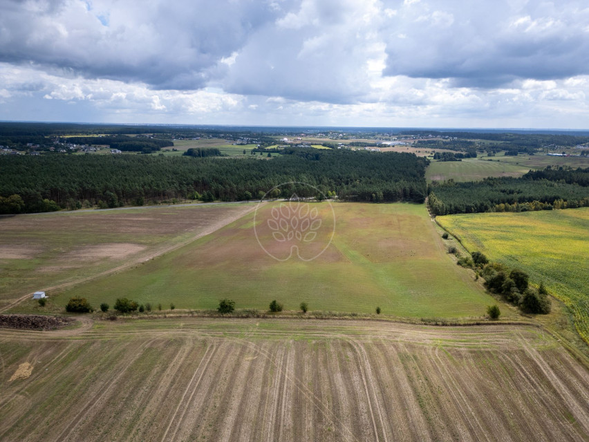 Działka Sprzedaż Dąbrówka Nowa 4