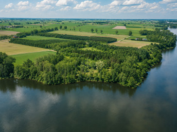 Działka Sprzedaż Gącz