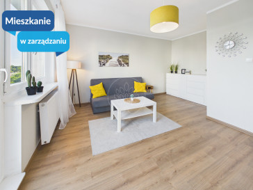 Mieszkanie Wynajem  Wzgórze Wolności Brzozowa